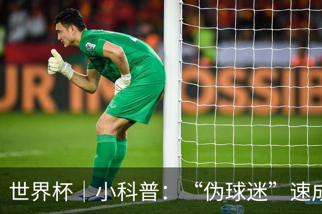 世界杯｜小科普：“伪球迷”速成手册
